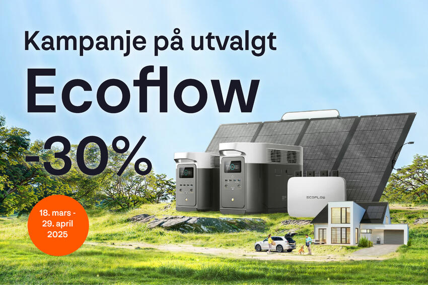 Ecoflow Delta Pro